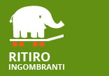 Ritiro ingombranti