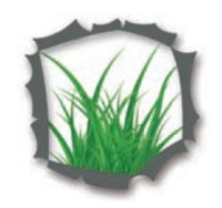 Comune di Rosate - sospensione verde pp